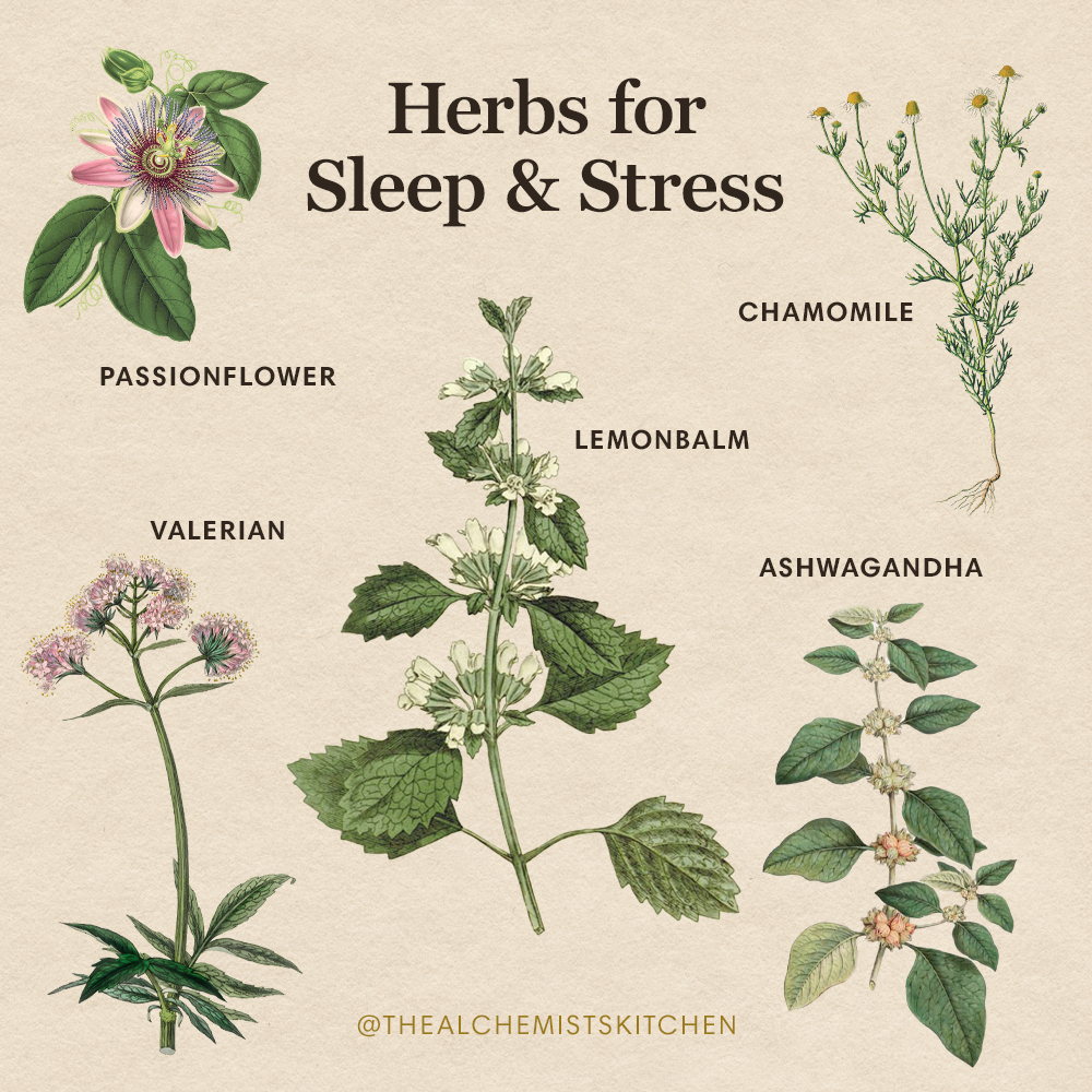 TAK_HerbSocials_SleepAndStress